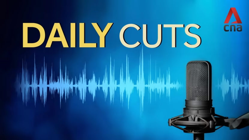 Daily cuts | Channel News Asia