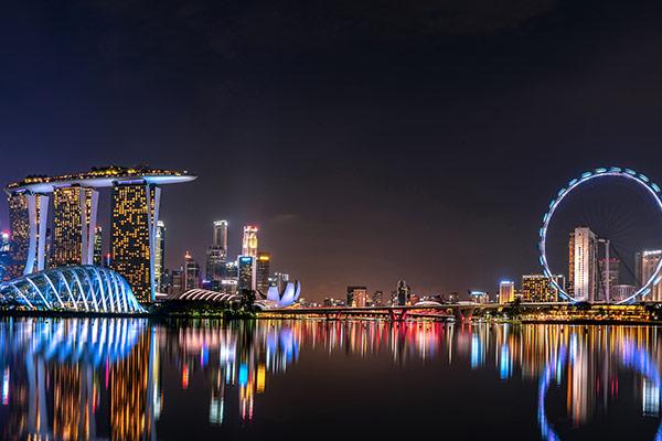 Newsletter: Singapore Global Restructuring Initiative (SGRI)